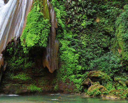 sierra gorda naturaleza experiencia