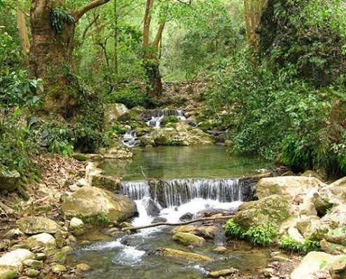 Cascada El Chuvejé